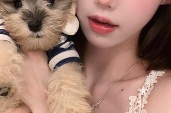 在zztt21上，免费获取八卦的乐趣，难道生活还需要其他调味料吗？