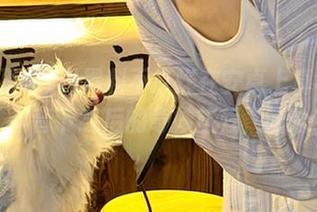 黑料不打烊在安卓上真有意思，抖音下载后的奇妙旅程，哈哈！