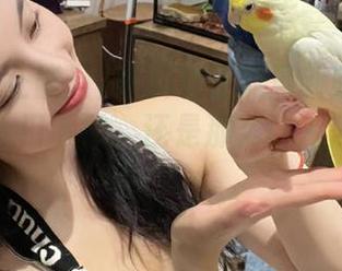 黑料社正能量新版本更新！网页入口下载，还是那么让人浮想联翩？