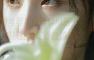 当苹果版黑料网遇上‘.’，真假难辨的瓜吃得我脑壳疼！