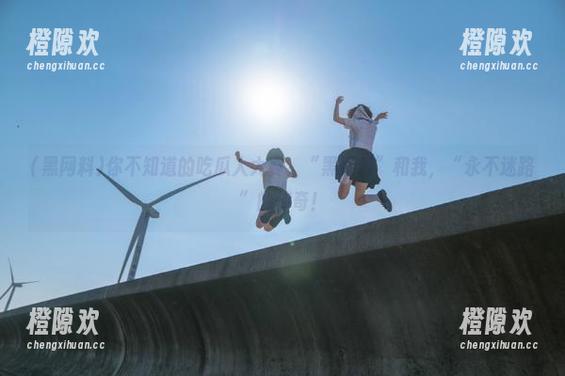 你不知道的吃瓜人大赛，“黑网料”和我，“永不迷路”的传奇！
